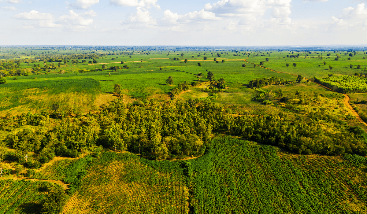 Land